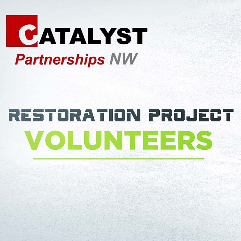 Catalyst NW Restoration Project