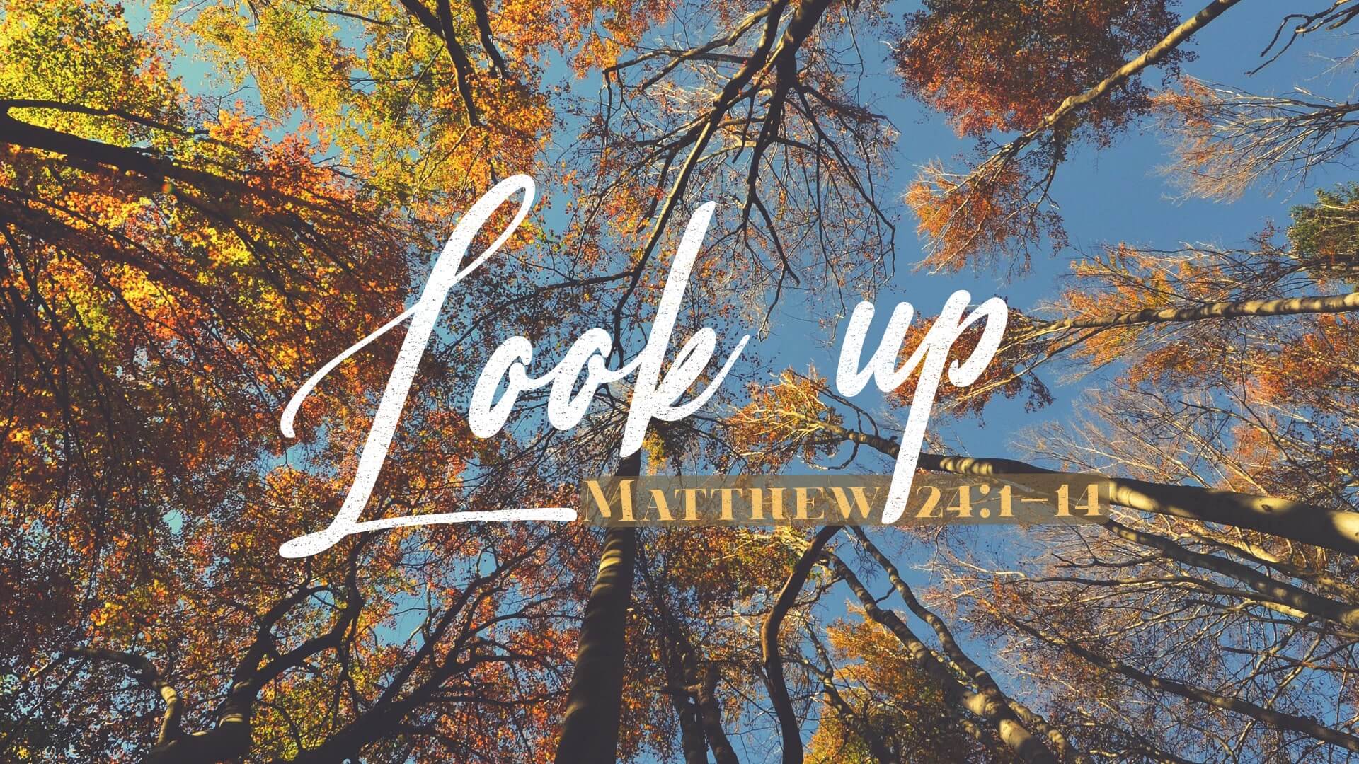 Look Up