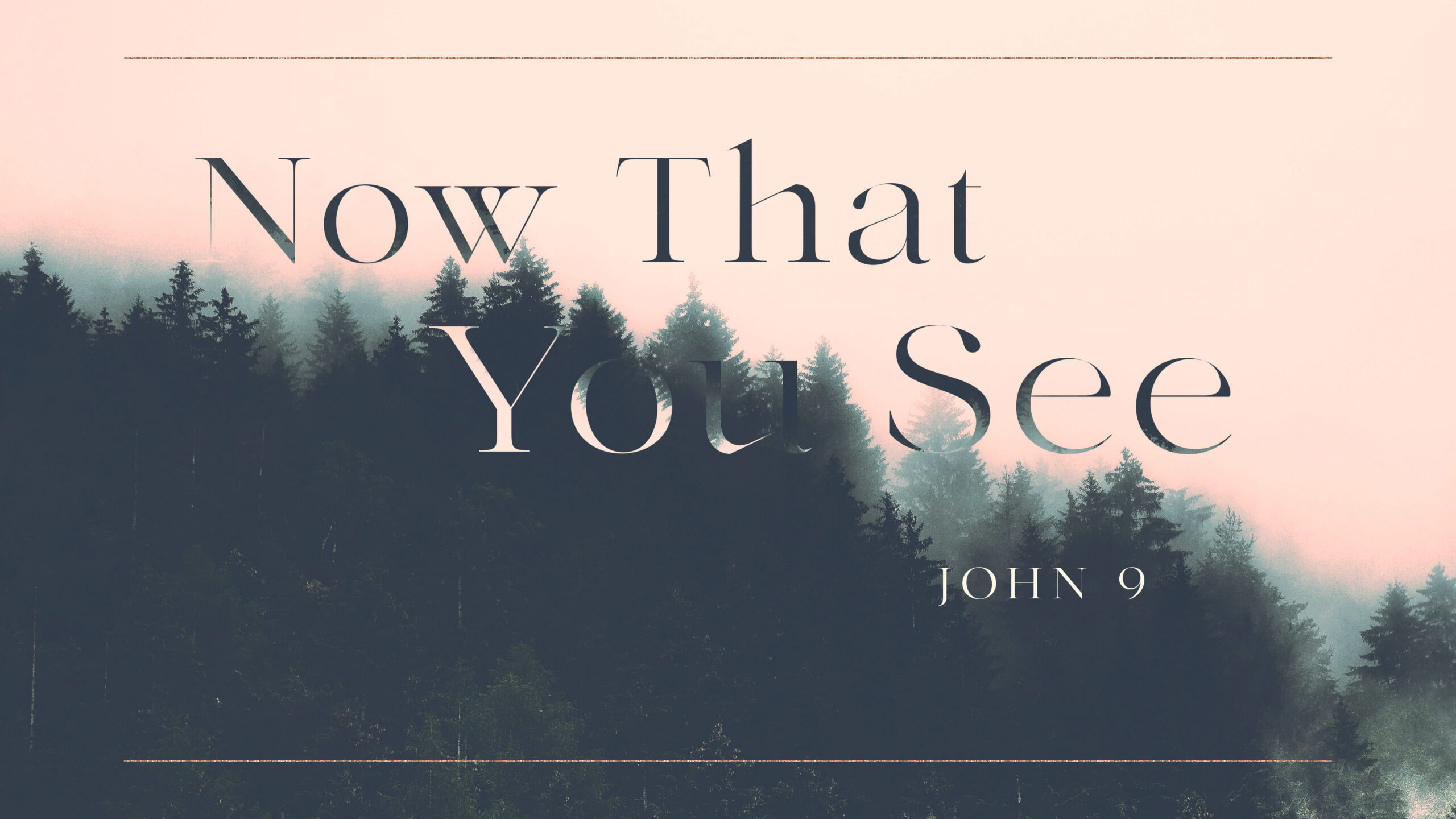 Now That You See