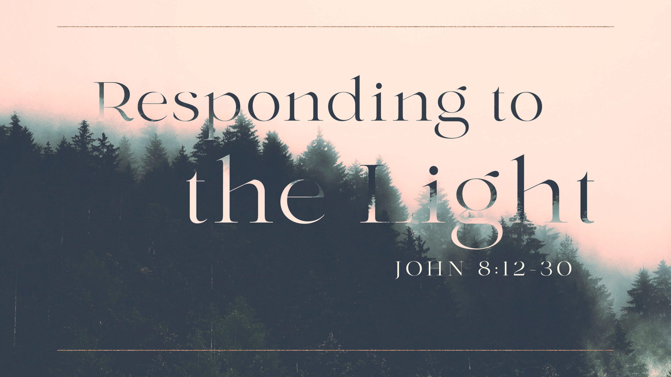 Responding to the Light