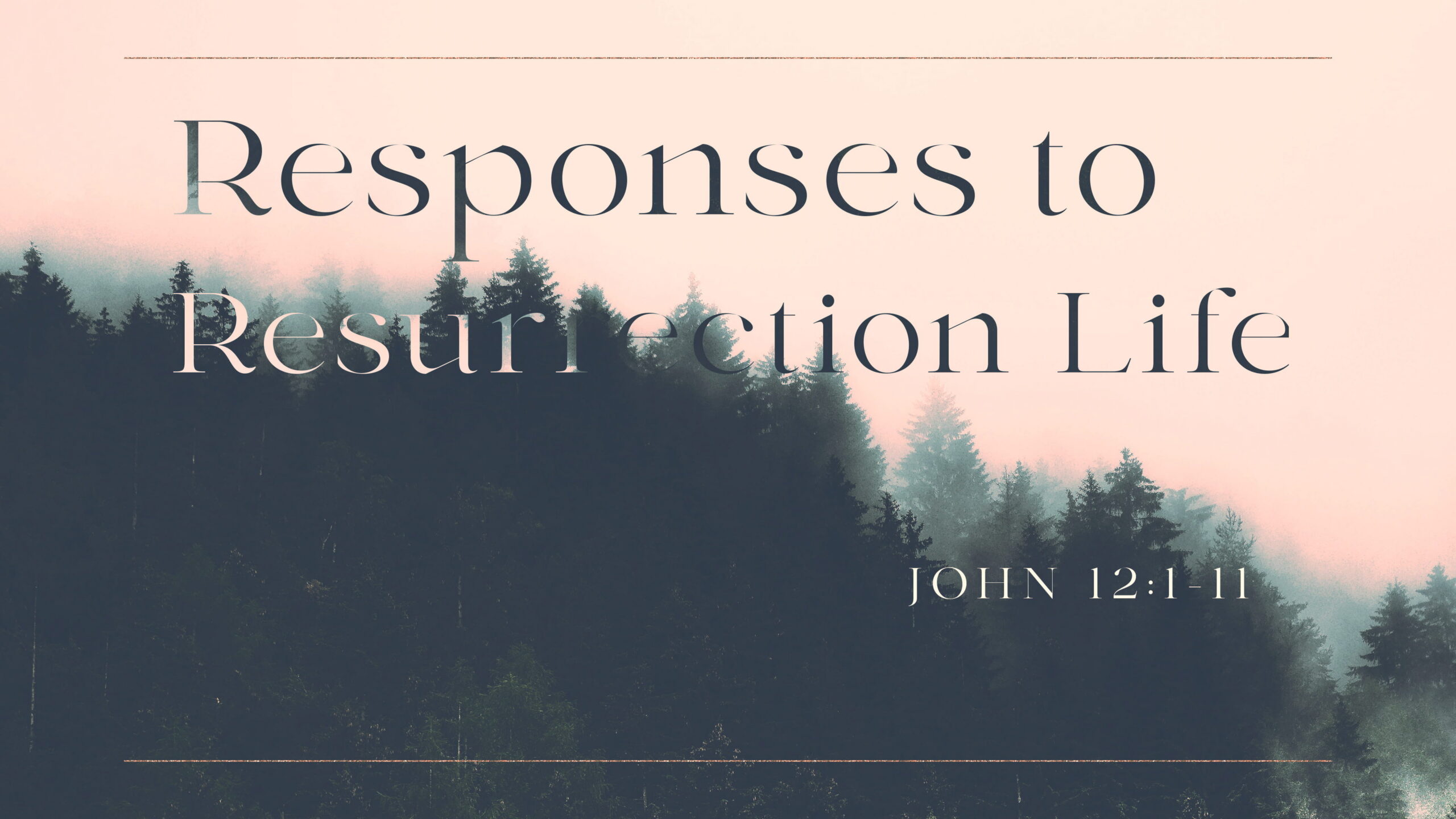 Responses to Resurrection Life