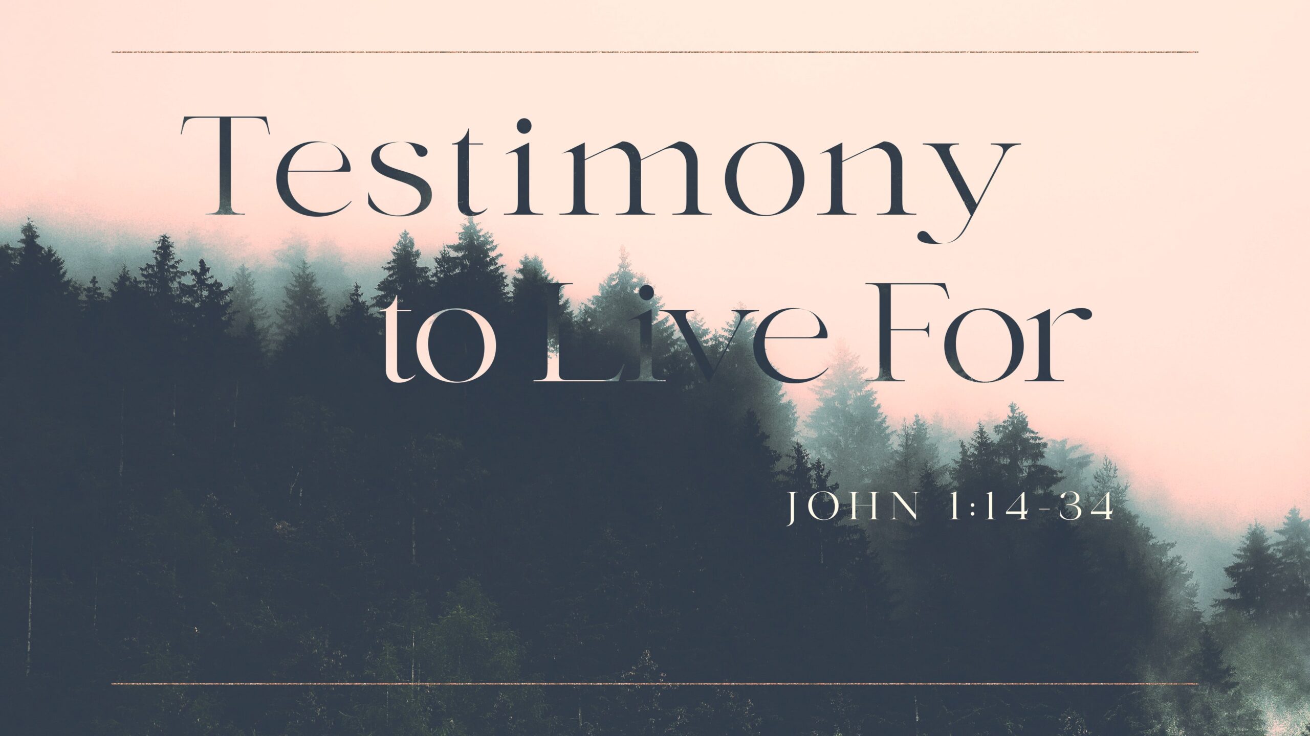 Testimony to Live For