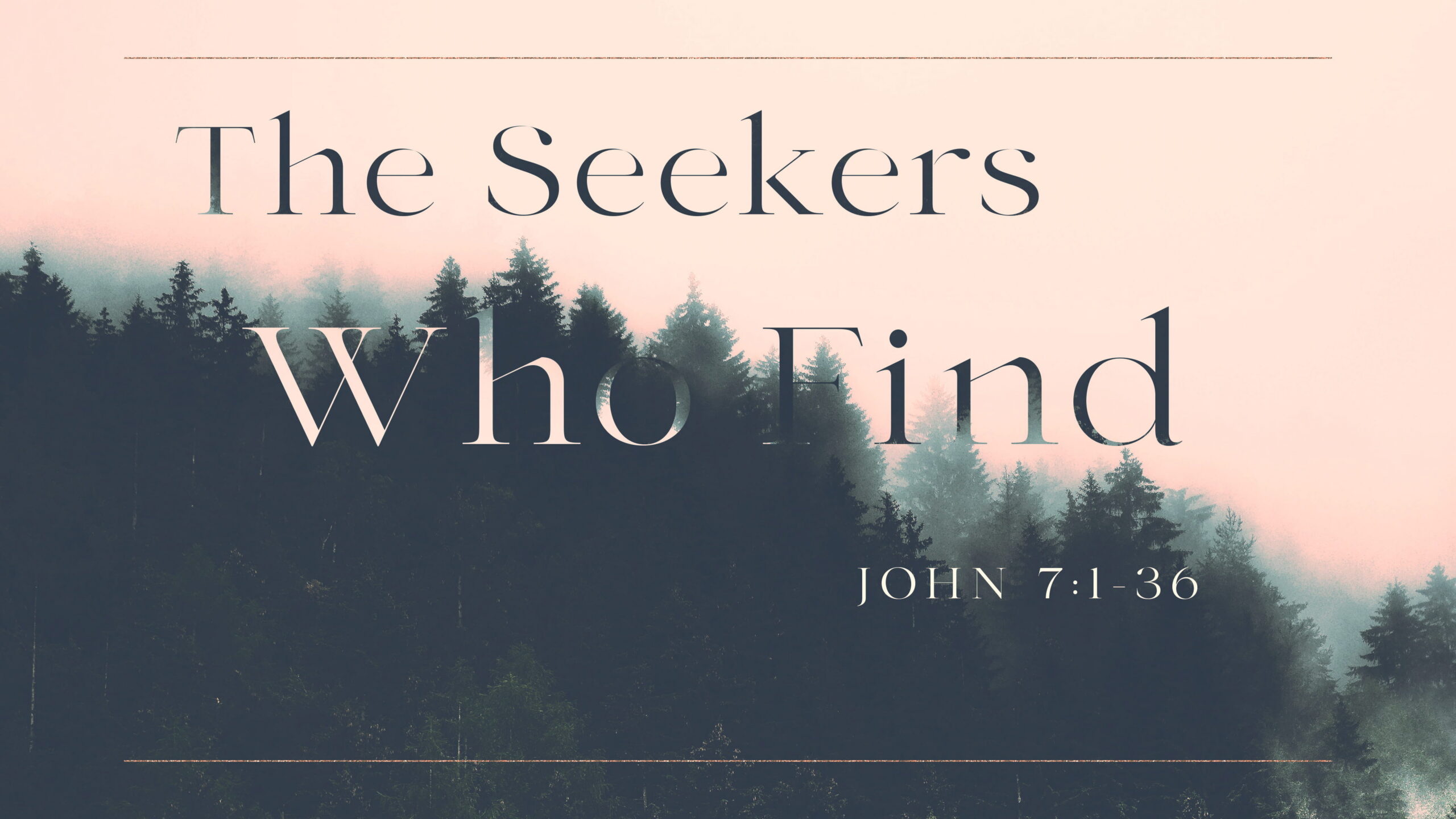 The Seekers Who Find
