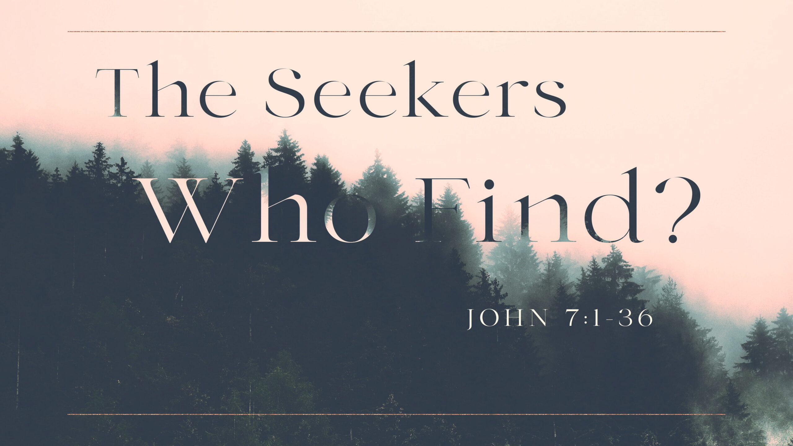 The Seekers Who Find