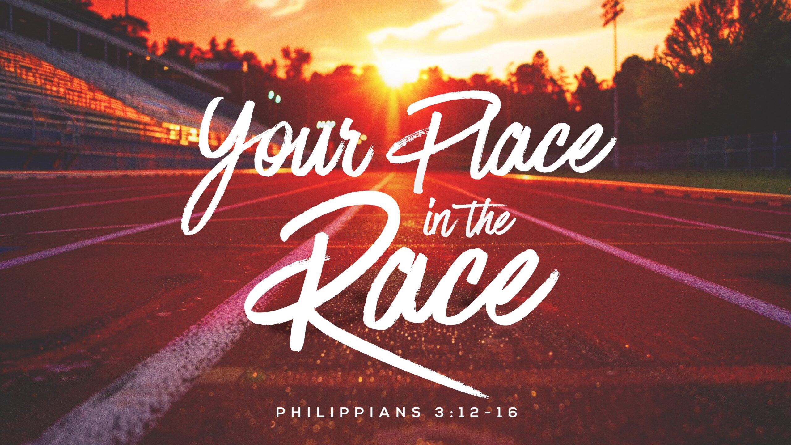 Your Place in The Race